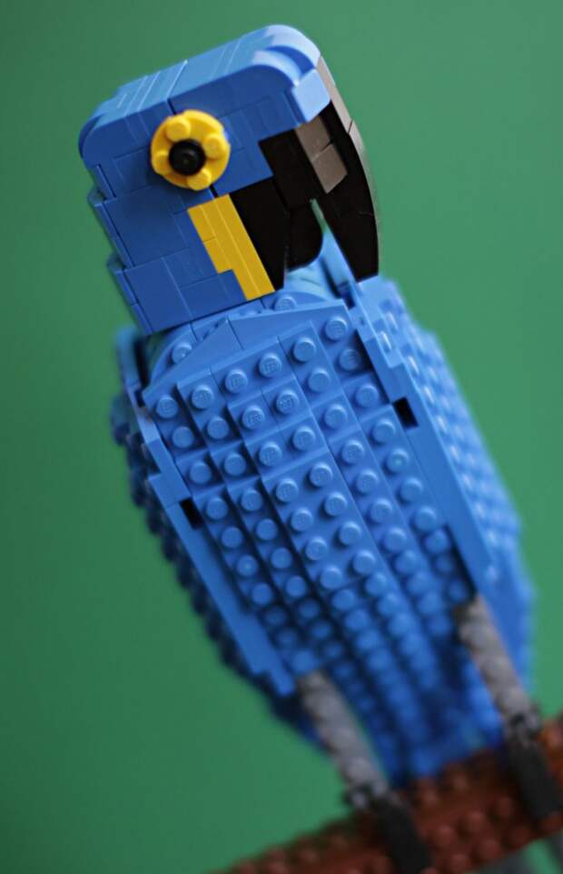 том пулсом скульптуры птиц из конструктора LEGO (17)