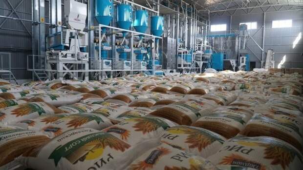 В Дагестане запустили первые рисоперерабатывающие заводы Хорошие, добрые, новости, россия, фоторепортаж