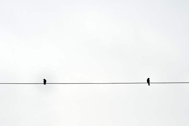 12 фотографий о достоинствах минимализма