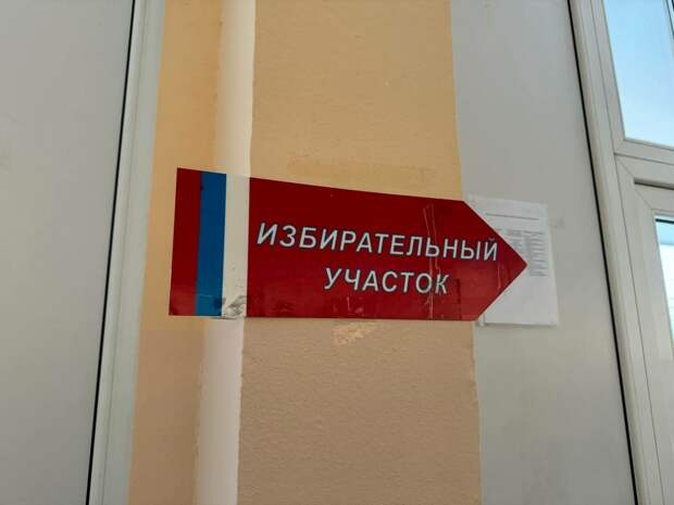 В Петербурге могут пройти довыборы в двух муниципалитетах