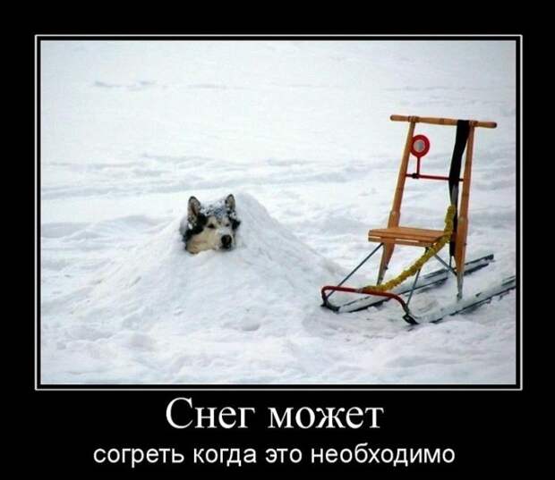 Зимние демотиваторы Зимние демотиваторы
