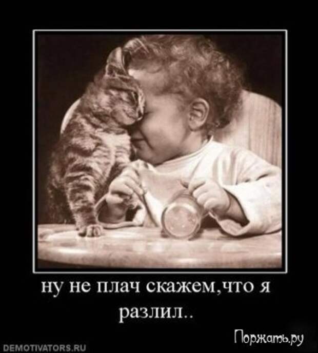 Димативаторы (21 фото)