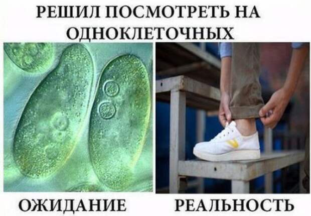 Прикольные картинки с надписями=))