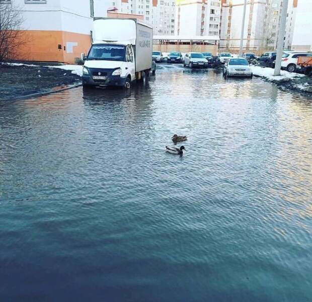 Подборка картинок. Дневной выпуск (21 фото)