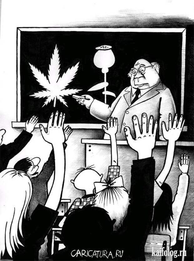 Прикольные карикатуры (52 картинки)