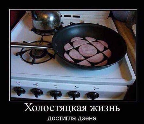 Демотиваторы-приколы (15 шт)