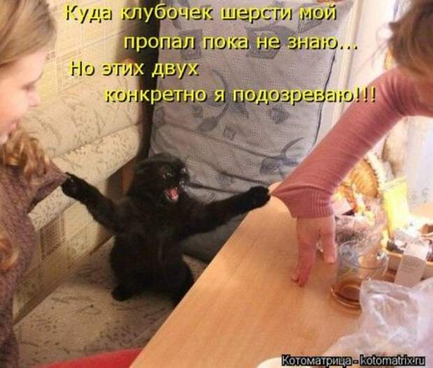 Котоматрицы