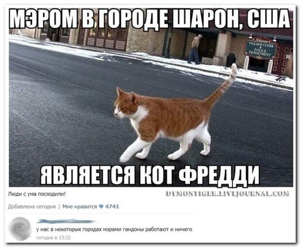 Смешные комментарии из социальных сетей 24.05.14 комментарии, прикол, соцсети