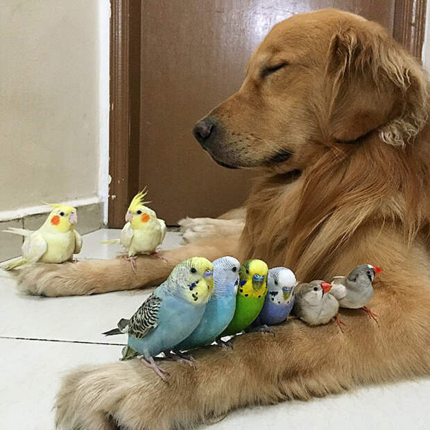 instagram.com