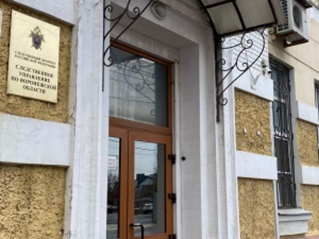 Председатель Следственного комитета запросил доклад о расследовании обстоятельств гибели жительницы Воронежской области в результате падения дерева