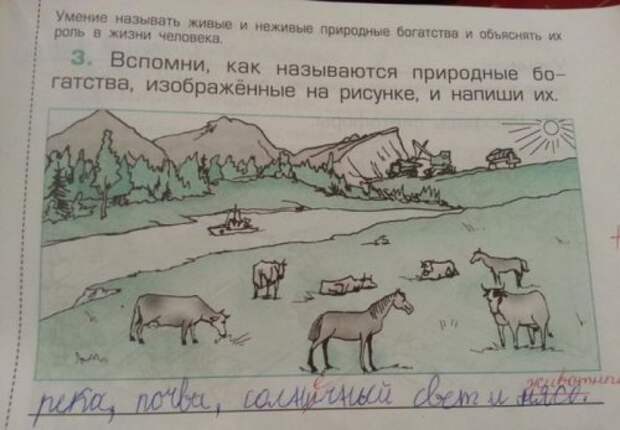 Прикольные картинки (35 шт)