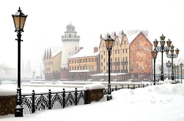 Зимний Калининград зима, красота, природа, россия, фото