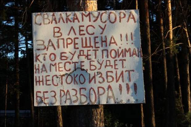 Прикольные надписи и объявления надписи, объявления, юмор