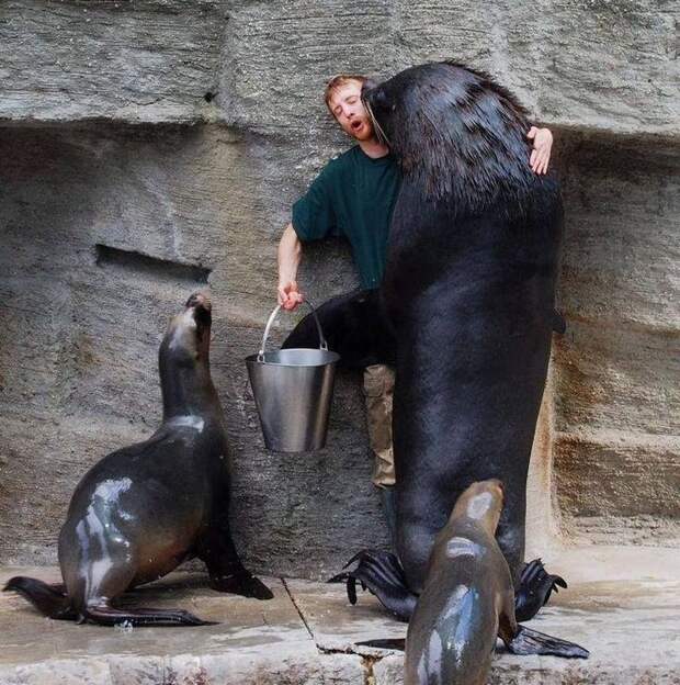 Фотоподборка за 09.12.2013 кадр, прикол, фото, фотоподборка