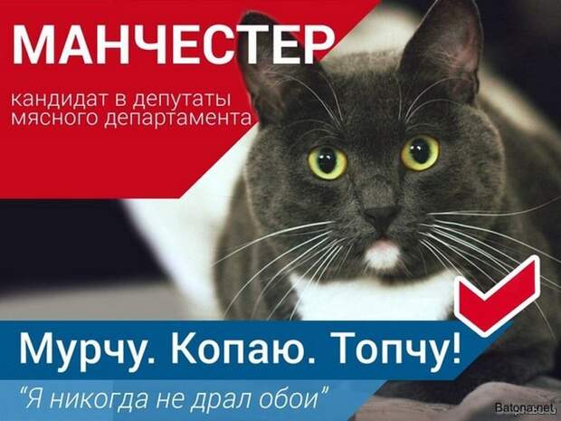 Смешные комиксы и приколы. Подборка картинок Смешные комиксы и приколы. Подборка картинок