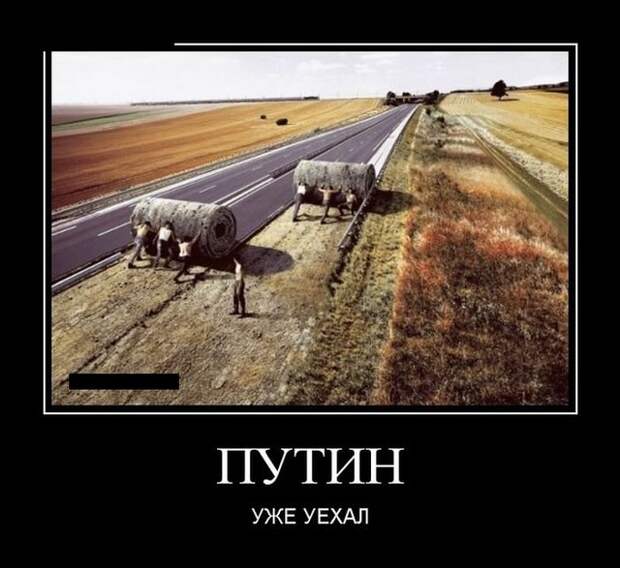 Демотиваторы 