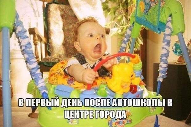 Смехотерапия Писца. Закаляйся!