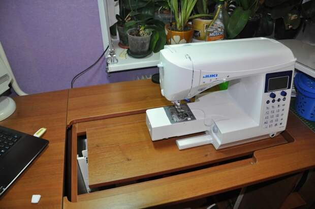 DSC_1427 (700x464, 203Kb)