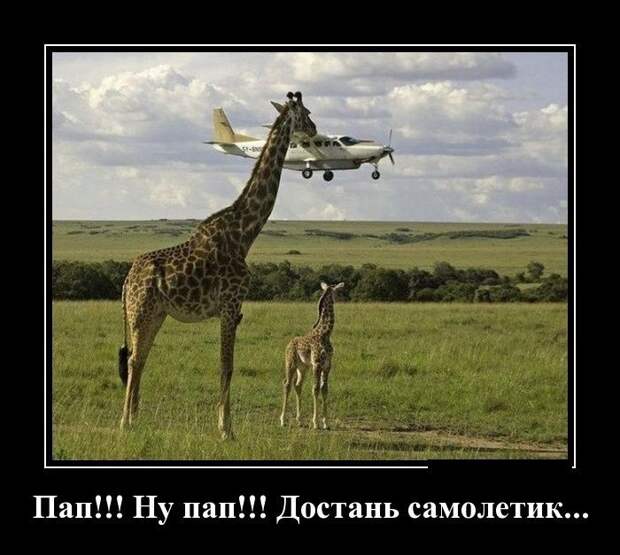 Подборка демотиваторов  демотиватор, юмор