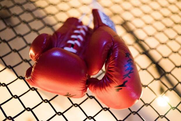 boxing-1921073_1920 alt