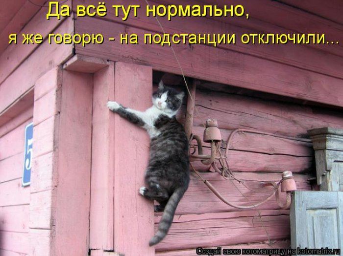 Мысли вслух :)