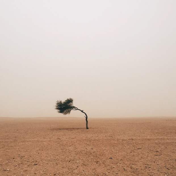 Победители конкурса мобильной фотографии iPhone Photography Awards 2015