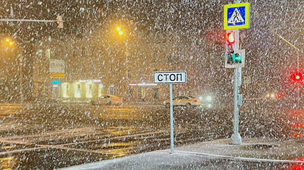 Снегопад и гололедица ожидаются в Москве и Подмосковье в ночь на 7 января