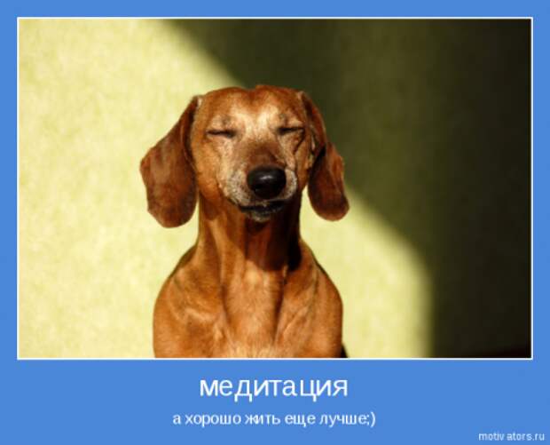Позитивчик мотиваторы.