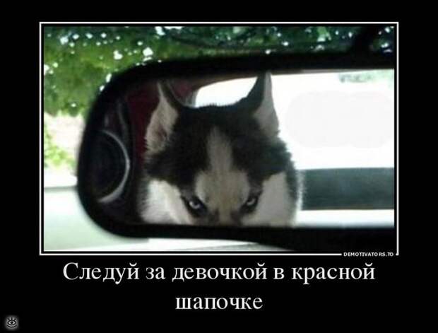 Безвозмездные демотиваторы 39