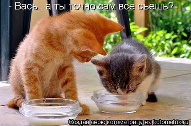 Мысли вслух :)