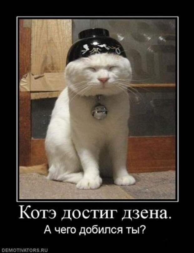 Демы картинки прикольные.