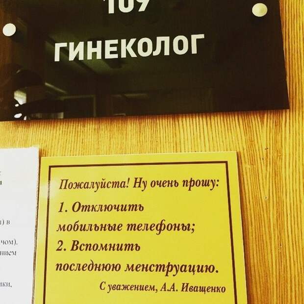 Смешные картинки с надписями видео, прикол