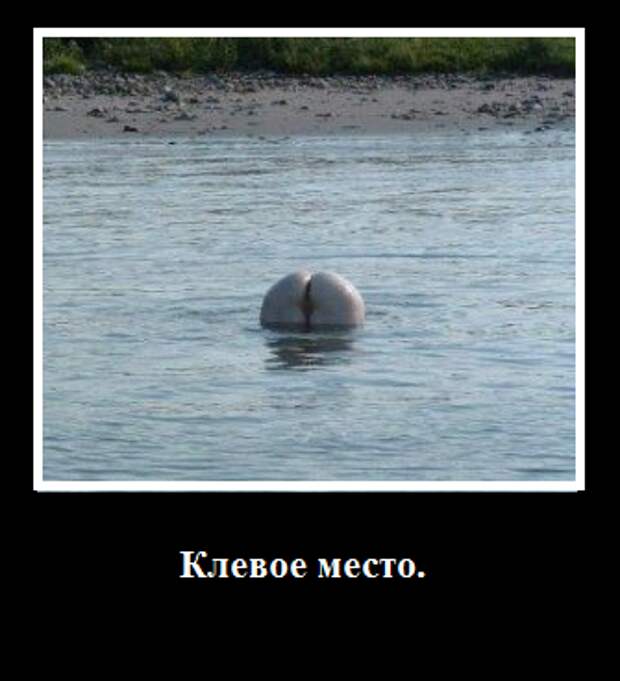 Мои демотиваторы, оцените творчество.
