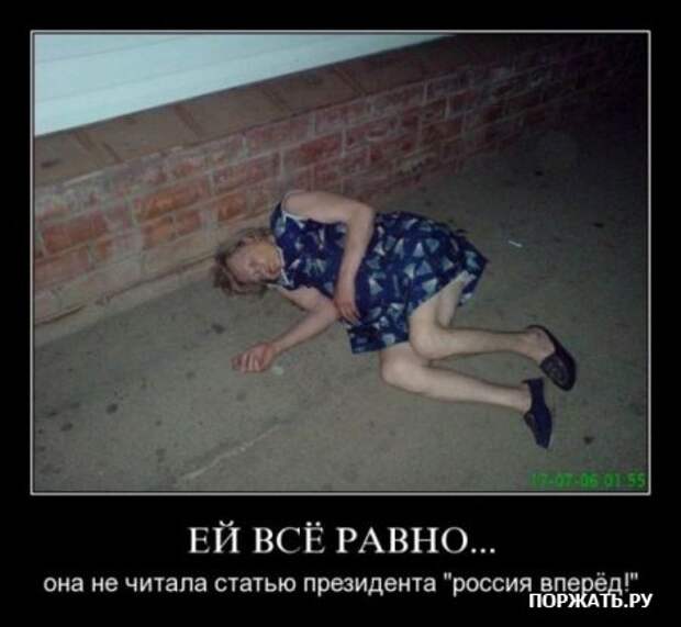 Демы (26 фото)