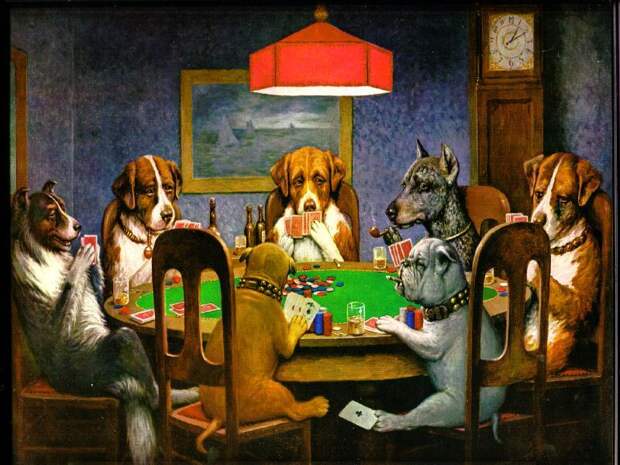 Dogs