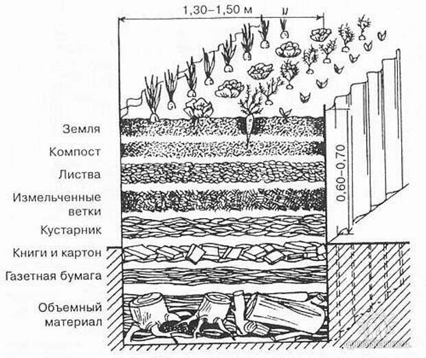 Схема теплой грядки