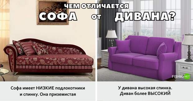 Чем отличается софа от дивана? инструменты, интересное, отличия, понятия, продукты