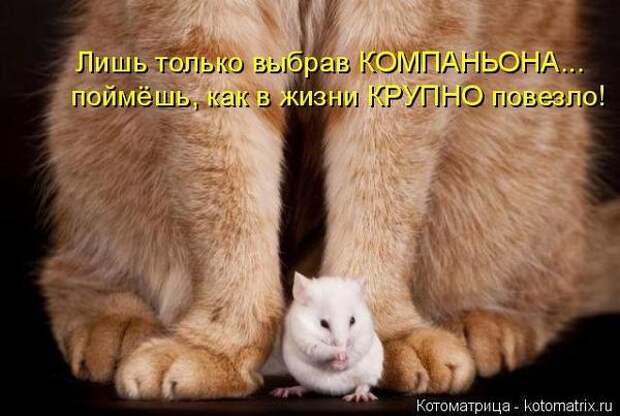 600x720-3c1225ab2db55d41d69c9aa323ecf3f1_103348 (600x403, 129Kb)