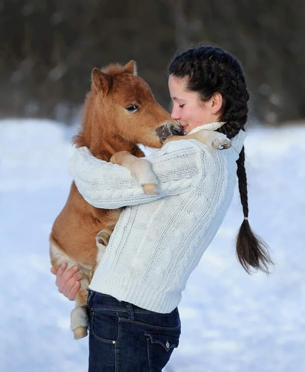 самая маленькая лошадка