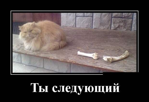 Подборка демотиваторов демотиватор, юмор