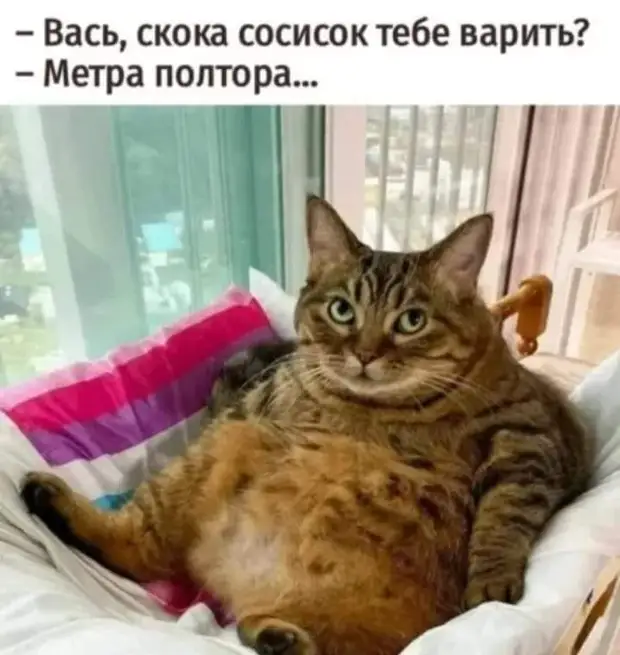 Пессимист - это опытный оптимист Пессимист - это опытный оптимист хотите, Мужчина, долларов, семье, перед, туалета, рисовать, которые, каждой, Милый, выходит, принеси, интересуется, нужно, теребить, наживкуСуббота, Вечер, прихорашивается, зеркалом, двадцатку