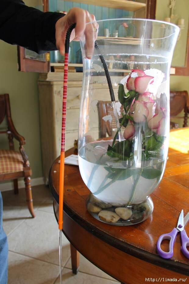 IMG_1733 (466x700, 242Kb)