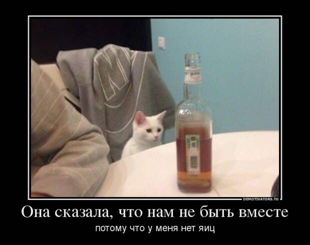 Демотиваторы демотиваторы