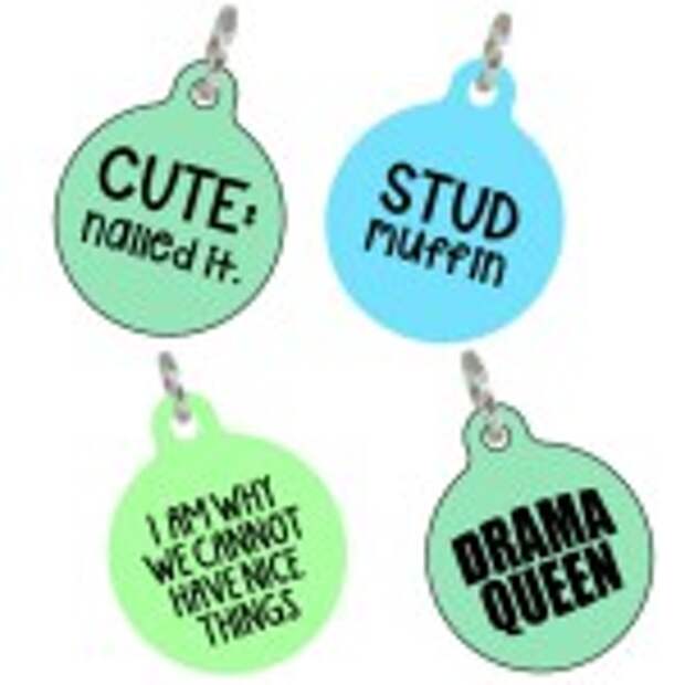 4 Gifts for Pets Blog Hop Dog ID Tags