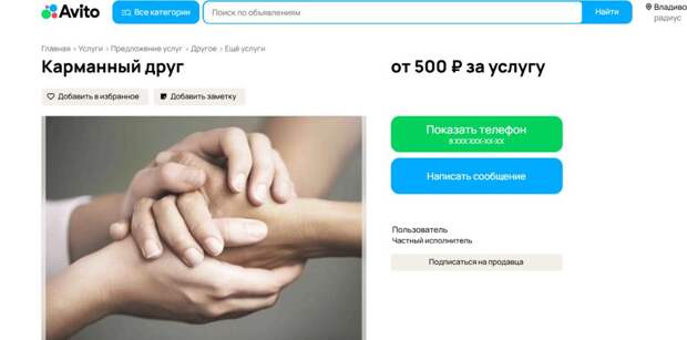 Как ларга на Токаревской кошке — всегда рядом: во Владивостоке сдают друзей в аренду