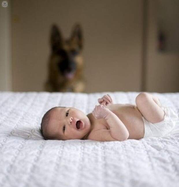 Зверушки и ребятишки 14