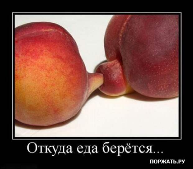 демотиваторы истории