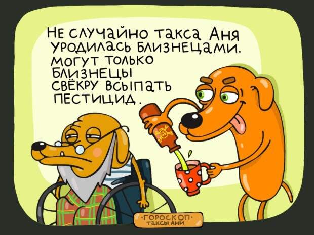 Найди свой знак в гороскопе таксы Ани гороскоп, такса