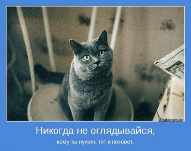 Побеждаем себя. Мотиваторы.