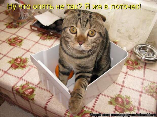 Мысли вслух :)